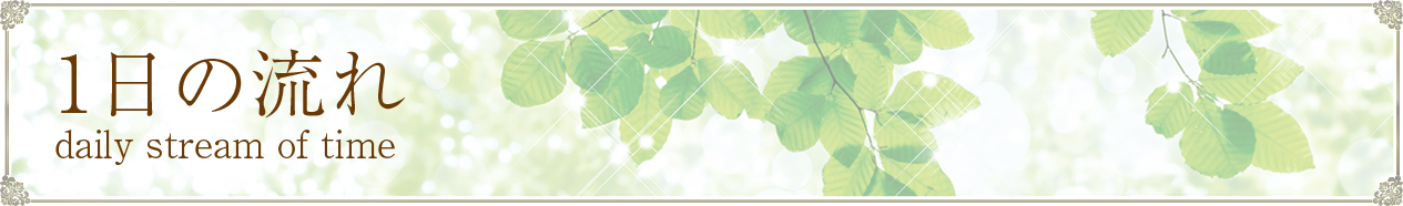 １日の流れ